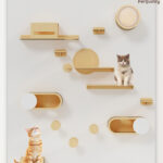 Pet Buddy CS02 Catshelves