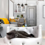 Pet-Buddy-Sofa-PB_05M