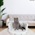Pet-Buddy-Sofa-PB_05S