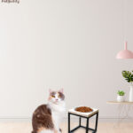 Pet-Buddy-BWL01L