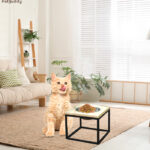 Pet-Buddy-BWL01M
