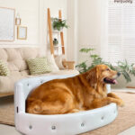 Pet-Buddy-Sofa-PB_05L