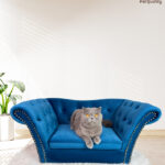 Pet-Buddy-Sofa-PB_07