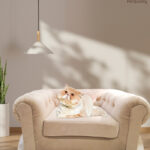 Pet-Buddy-Sofa-PB_09